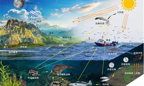 电脑系统和生态_电脑系统和生态的区别