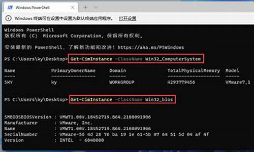 电脑系统型号和系统型号_系统信息里的系统型号