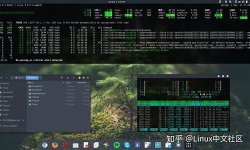 电脑安装linux系统步骤_电脑系统linux系统安装包