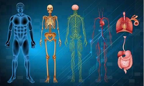 人体系统和电脑系统的关系-人体系统属于什么系统